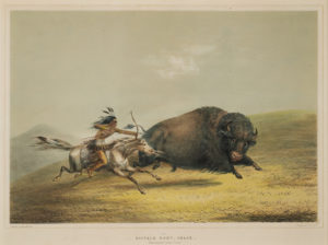 Buffalo Hunt, Chase – No. 5